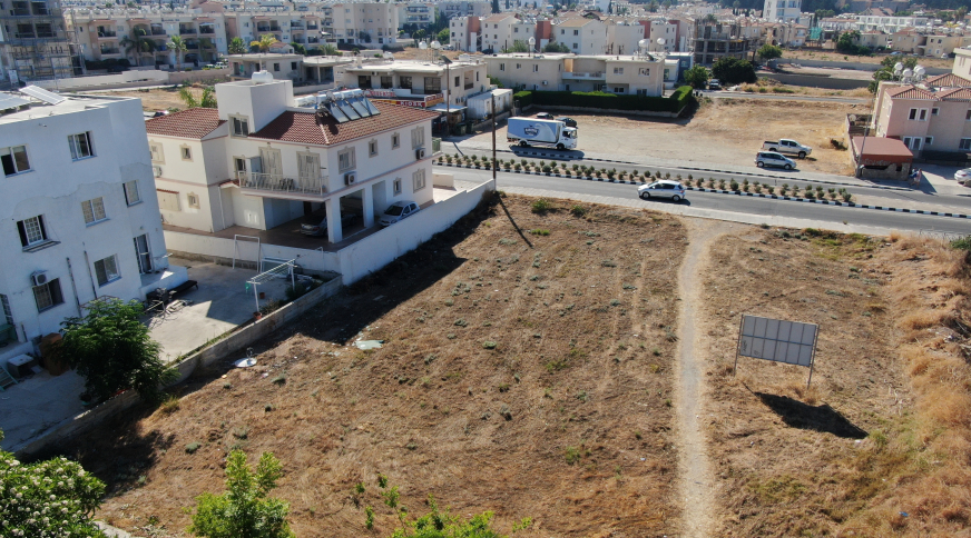 section catalog photo